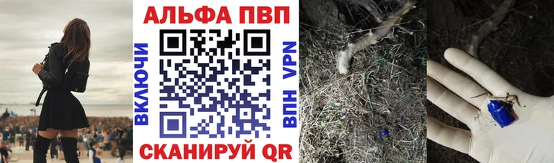 Купить закладки  Гдов  Alfa_PVP VHQ 