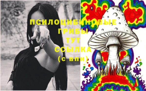 хмурый Армянск